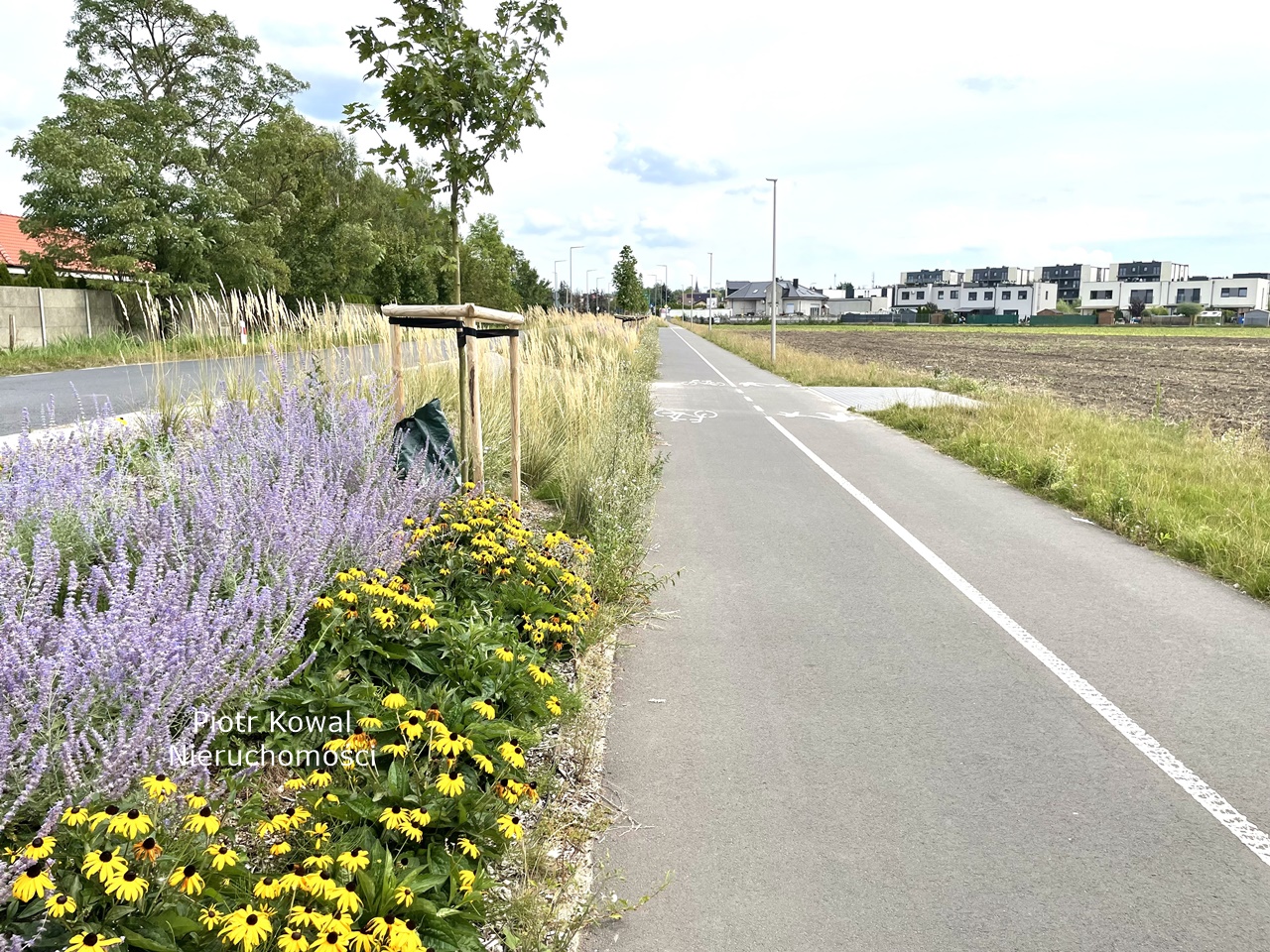 IMG_8349_ZW droga rowerowa Rokietnica Piotr Kowal Biuro Agent Nieruchomości Mieszkanie z ogródkiem Rokietnica
